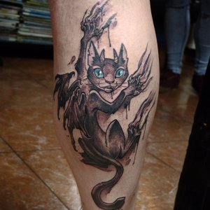 2017 impcat